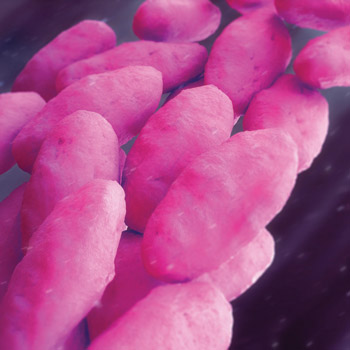 There are a variety of battlefronts involved in the war against antimicrobial resistance Image by urfinguss