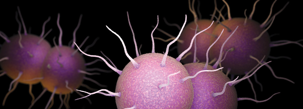 Since 2013 cases of chlamydia gonorrhea pictured above and syphilis have all risen sharply in the US In fact cases of these sexually transmitted infections reached an all-time high in 2018 ap